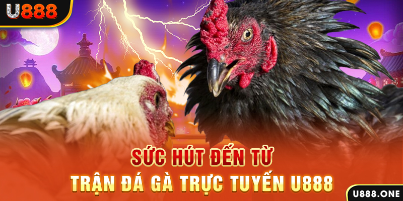 789win111 đăng nhập poker 2024