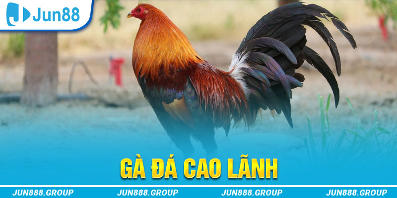 789win111 tai game vua bai ve may tinh