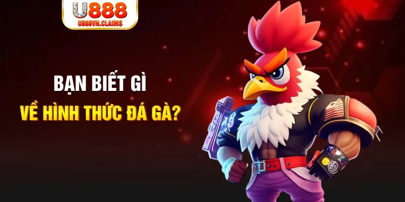 789win111 đăng nhập liêng tặng tiền