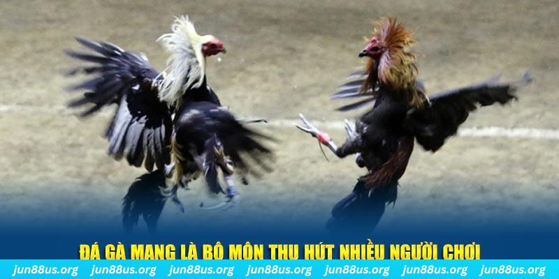 789win111 đăng nhập sòng bạc số 1