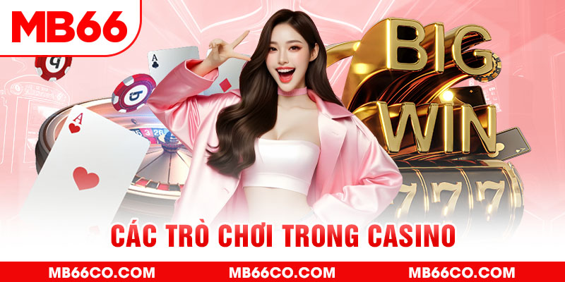 chổi lông gà