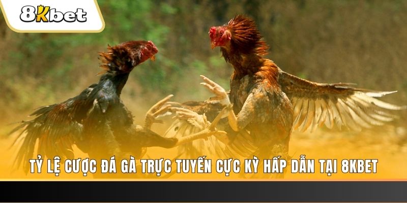 789win111 xổ số miền bắc chủ nhật